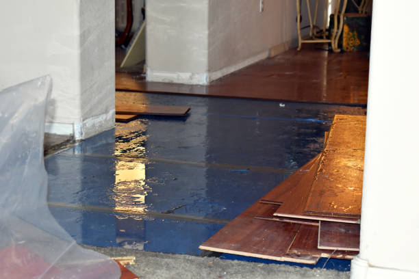 Professional Water Damage Restoration technician working in Foristell, MO